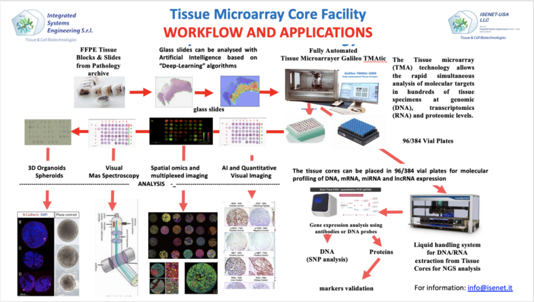 A picture of ISENET's tissue microarray technology.