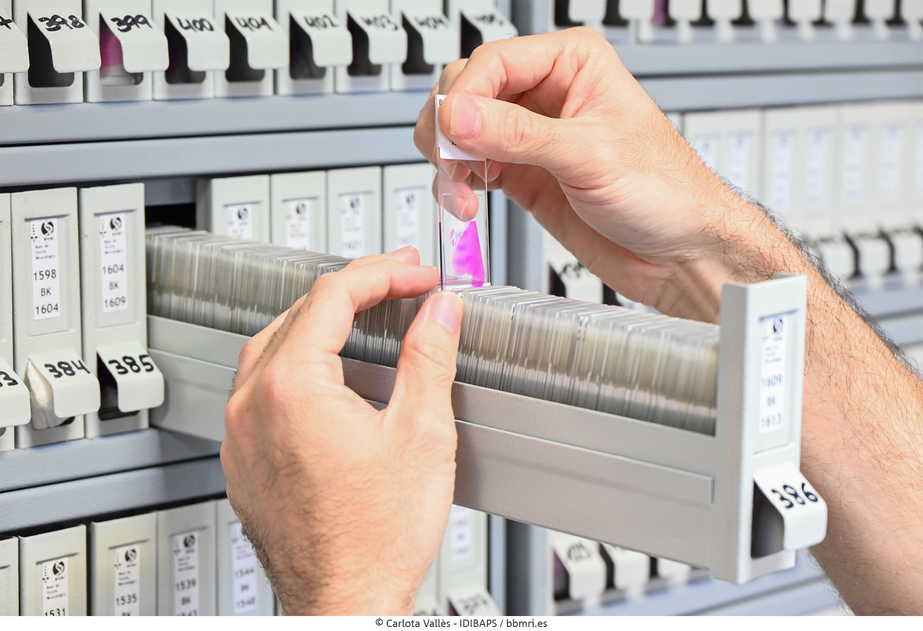 A picture showing samples in a biobank