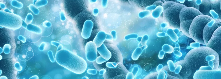 A picture showing Microbe WS